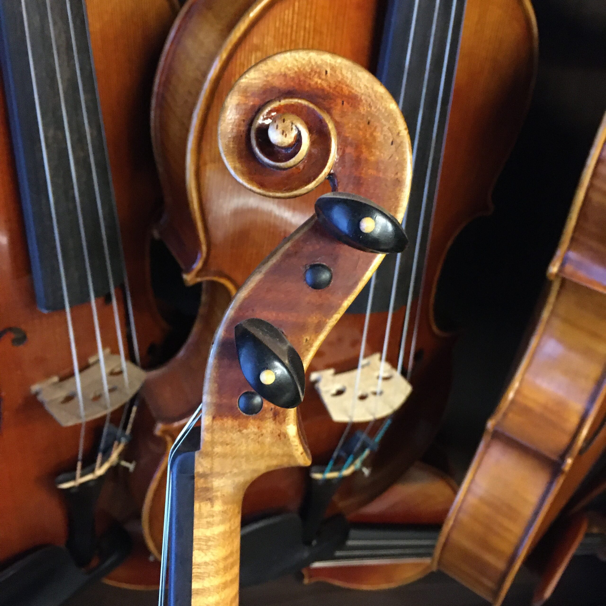 VIOLA MARIO GIO 16" 2021 (Cod.007)