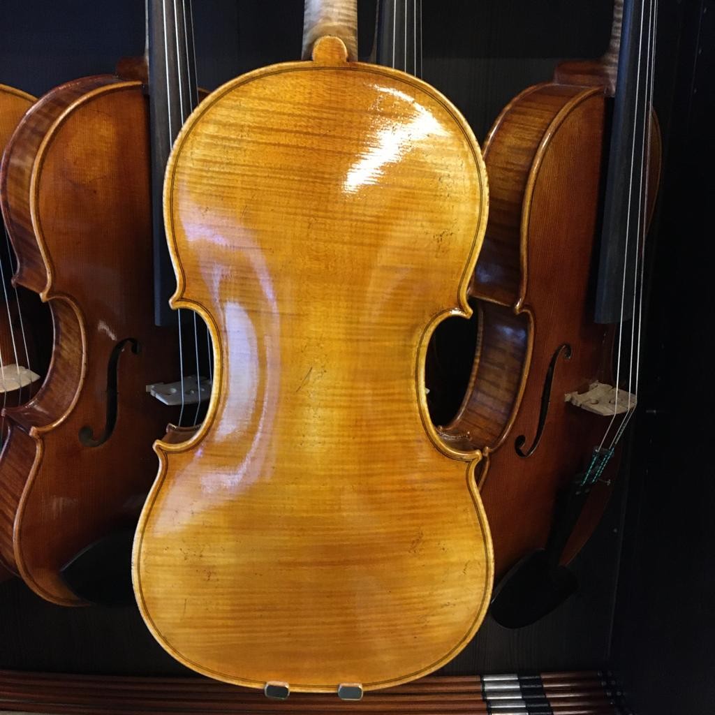 VIOLA LEONARD THYMIAN 15,5" (Cod.005)