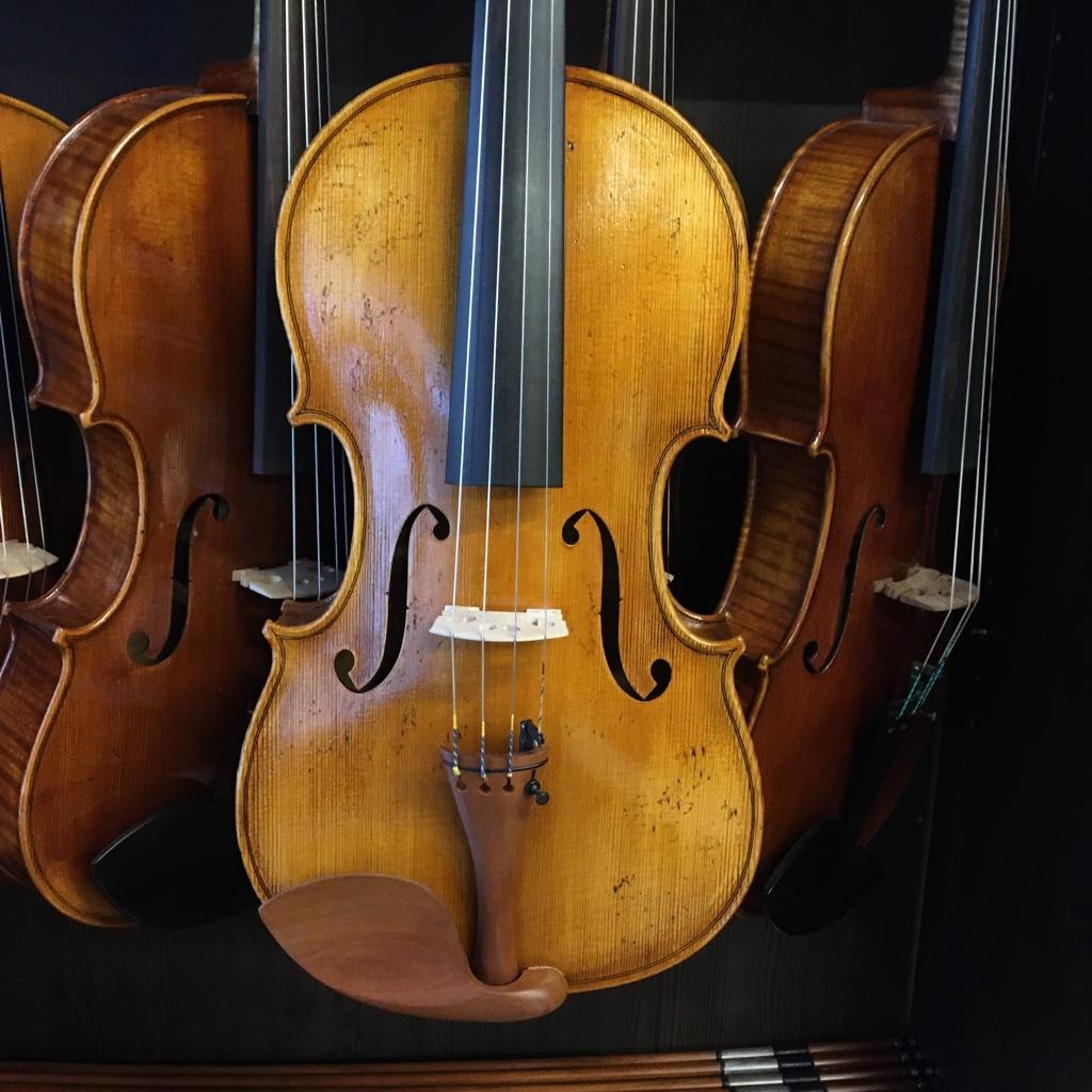 VIOLA LEONARD THYMIAN 15,5" (Cod.005)