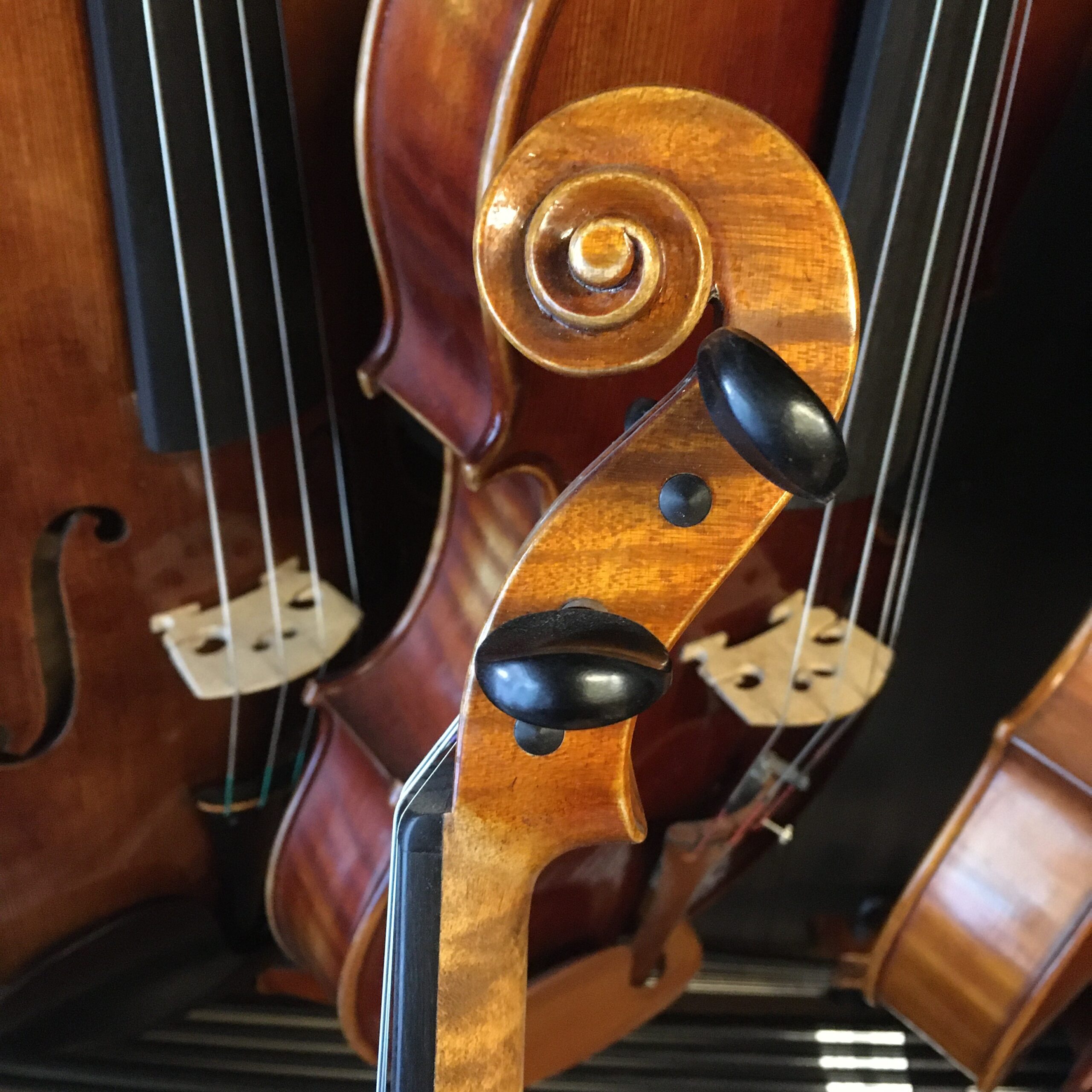 VIOLÍN MARIO GIO 2022 (Cod.003)