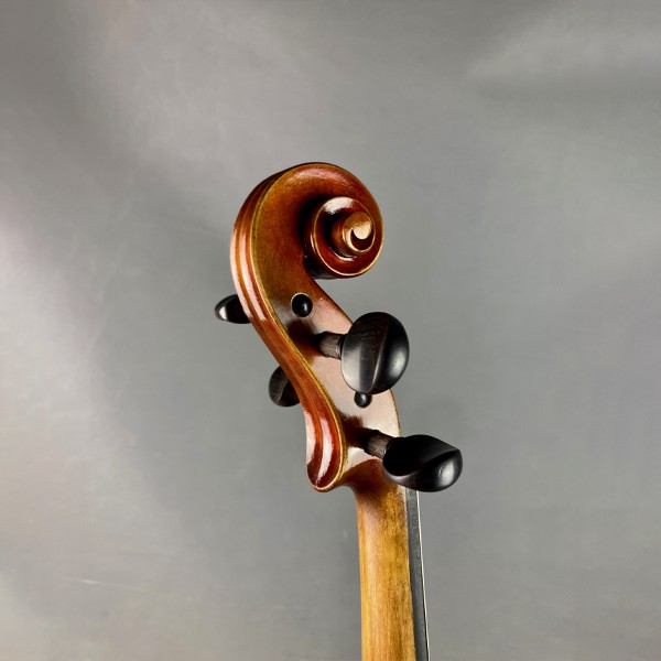 VIOLA ELIZABETH THYME VIRTUOSO