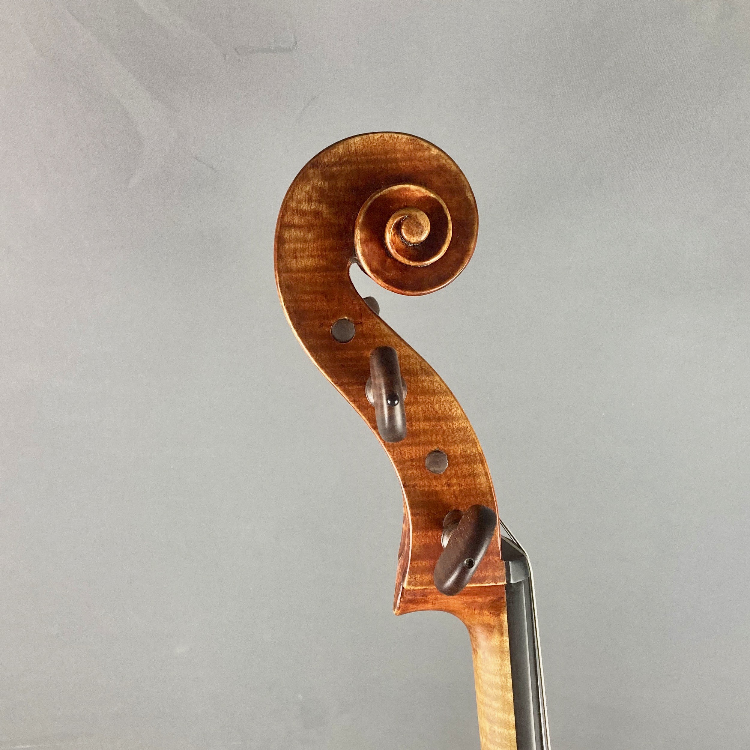 VIOLONCELLO S. MARZI FLORENCIA 2023