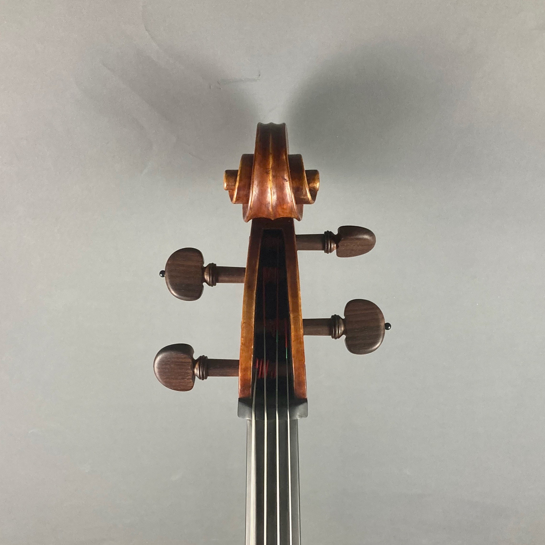VIOLONCELLO S. MARZI FLORENCIA 2023