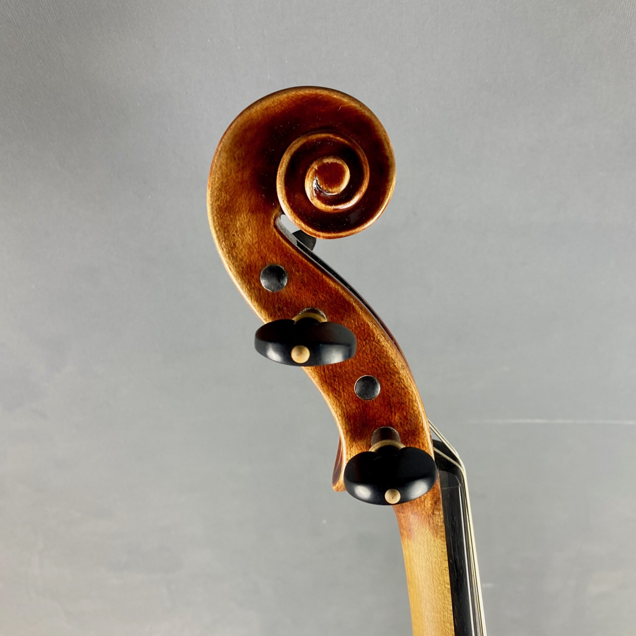 VIOLA FOWLER MASTER