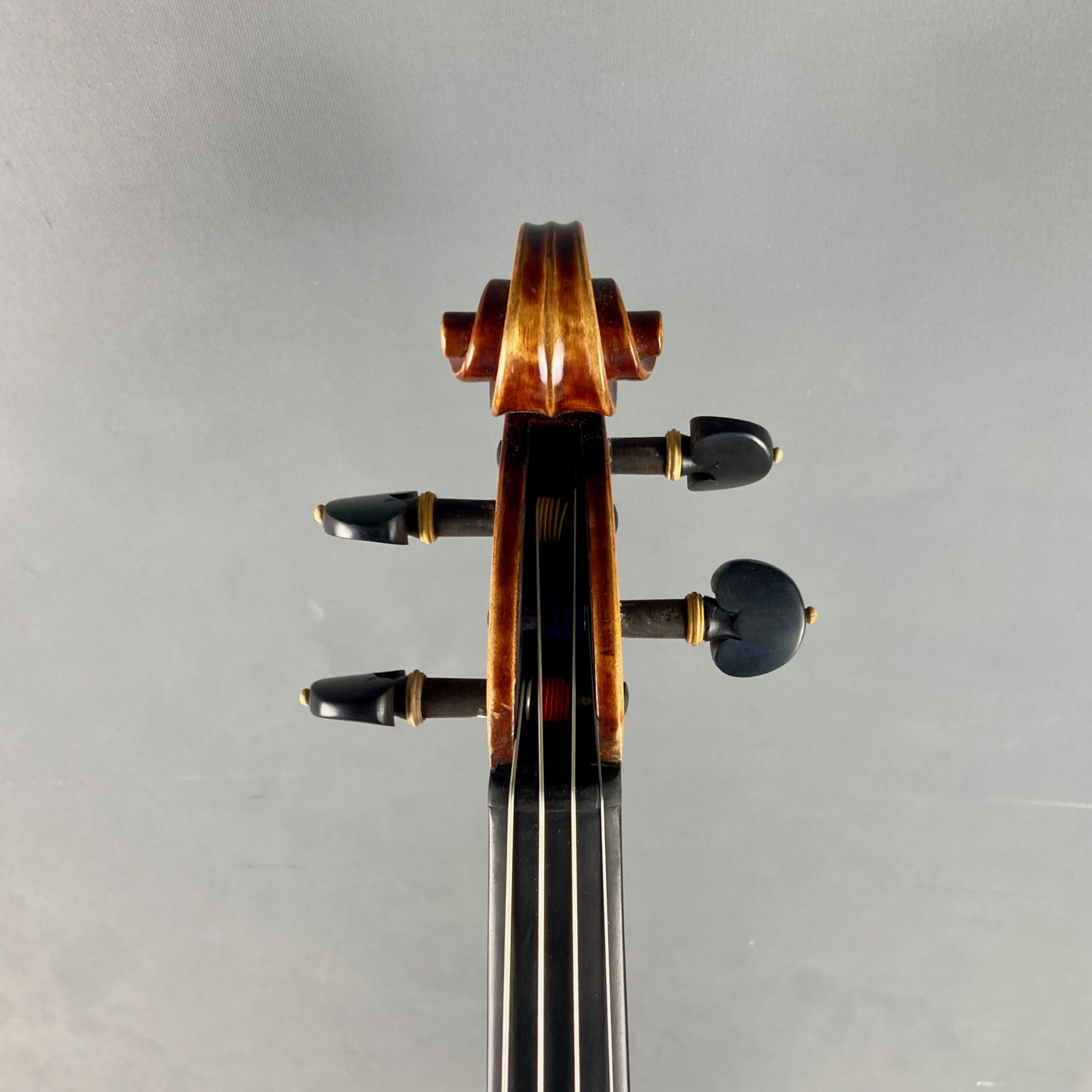 VIOLA FOWLER MASTER