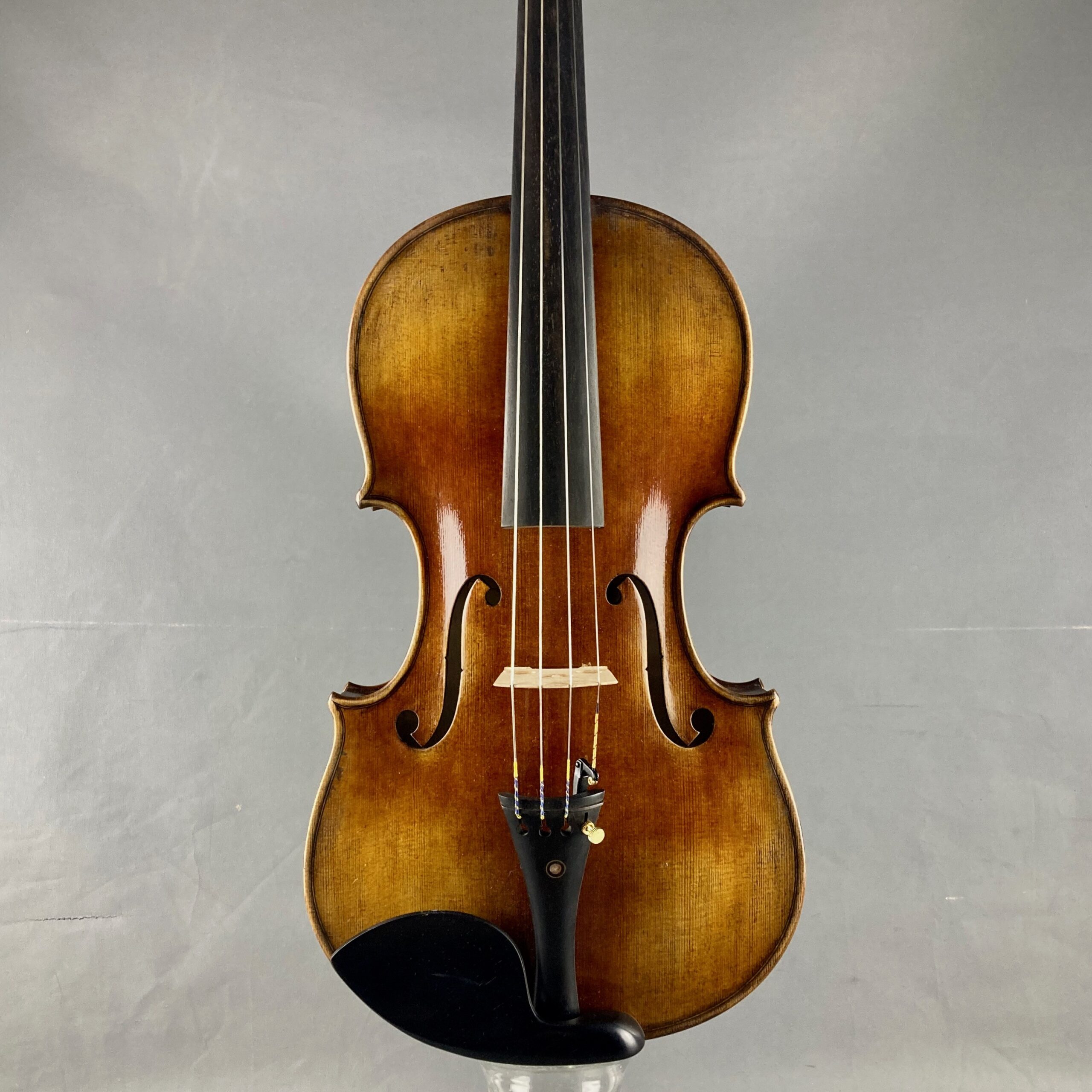 VIOLA FOWLER MASTER PRO