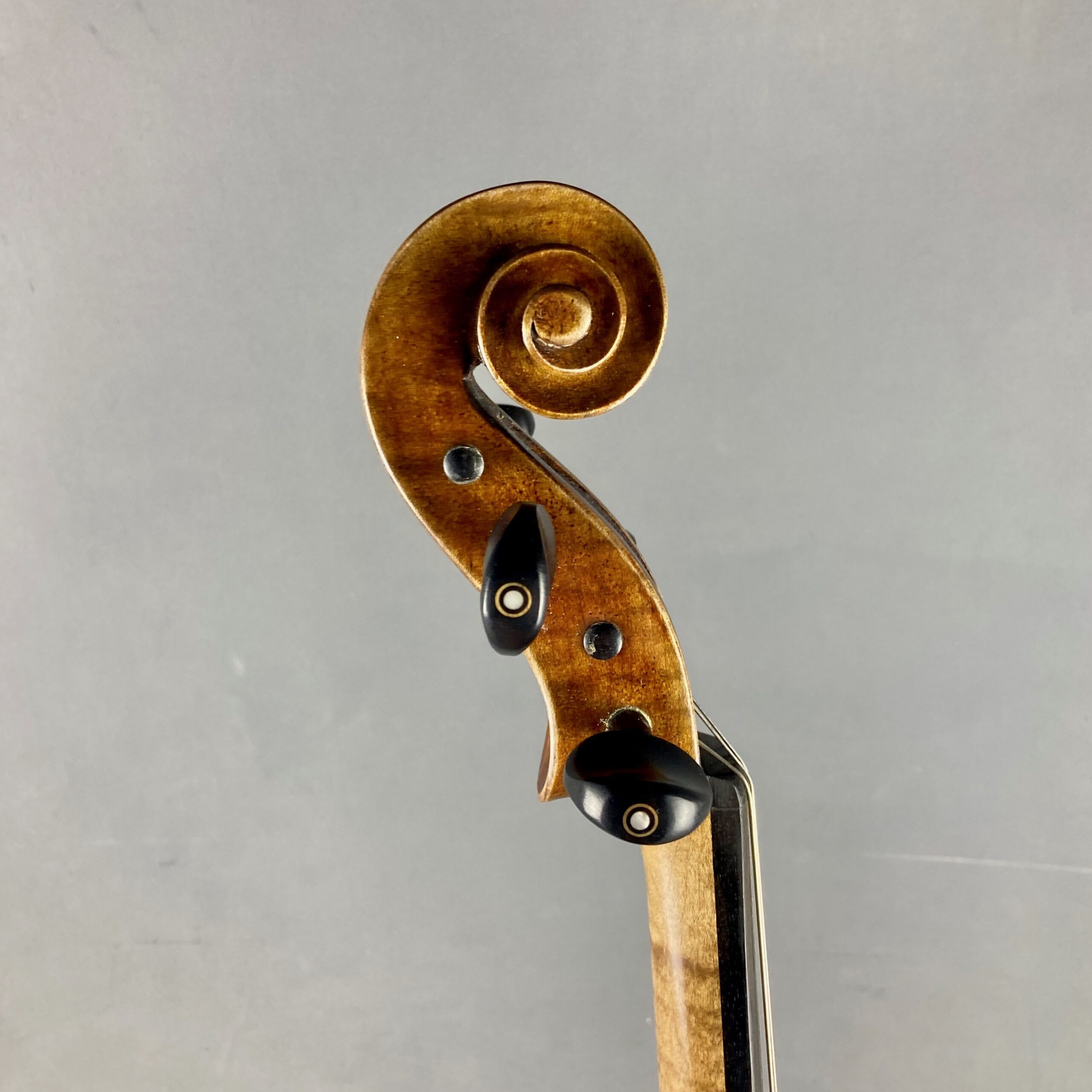 VIOLA FOWLER MASTER PRO