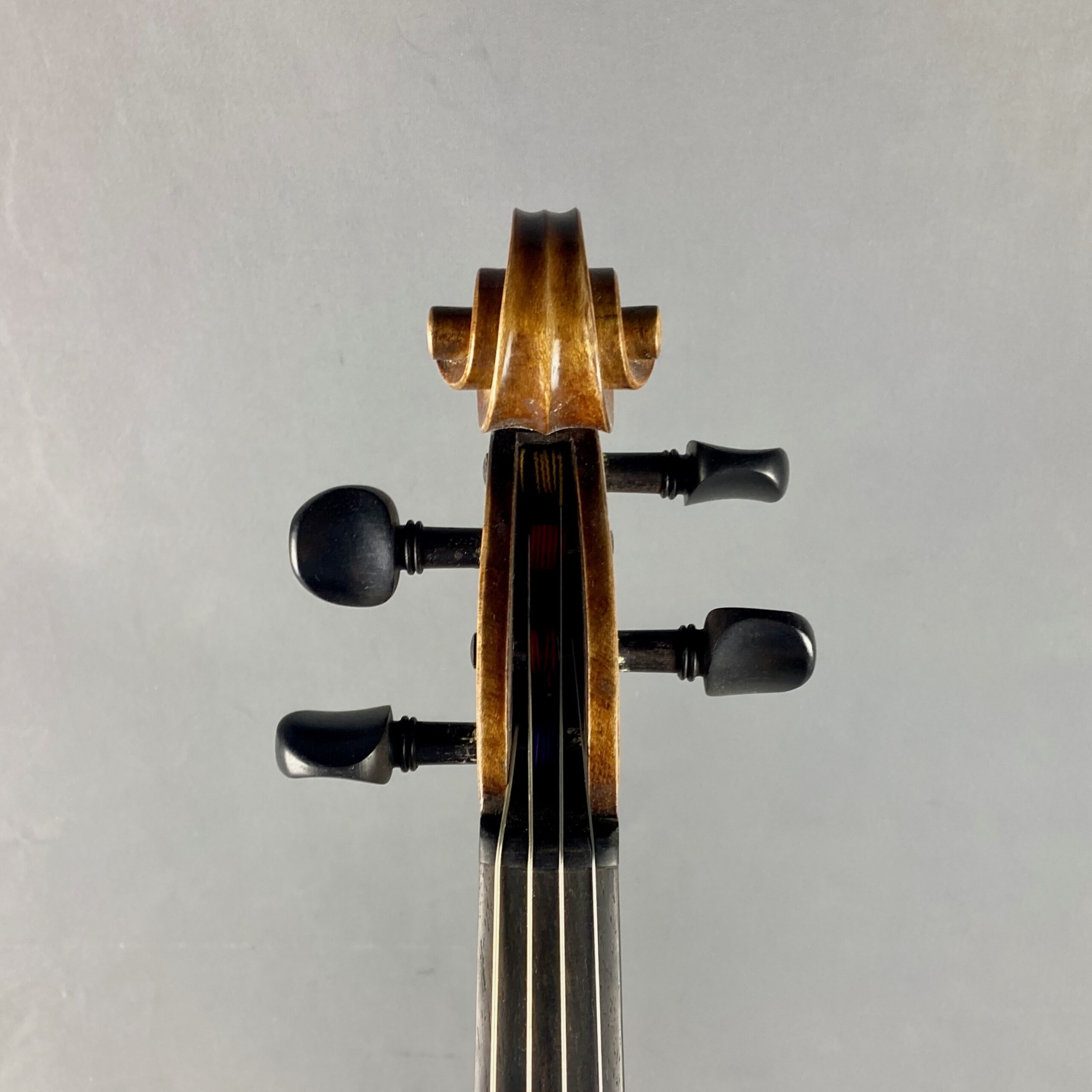 VIOLA FOWLER MASTER PRO