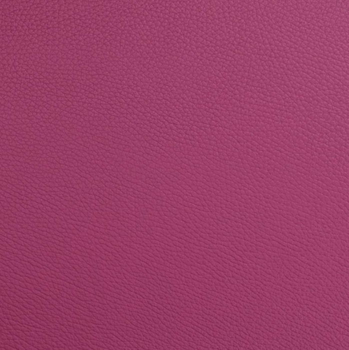 ESTUCHE ARCO VIOLÍN/VIOLA/CELLO BAM ET7001XL "L'Étoile"