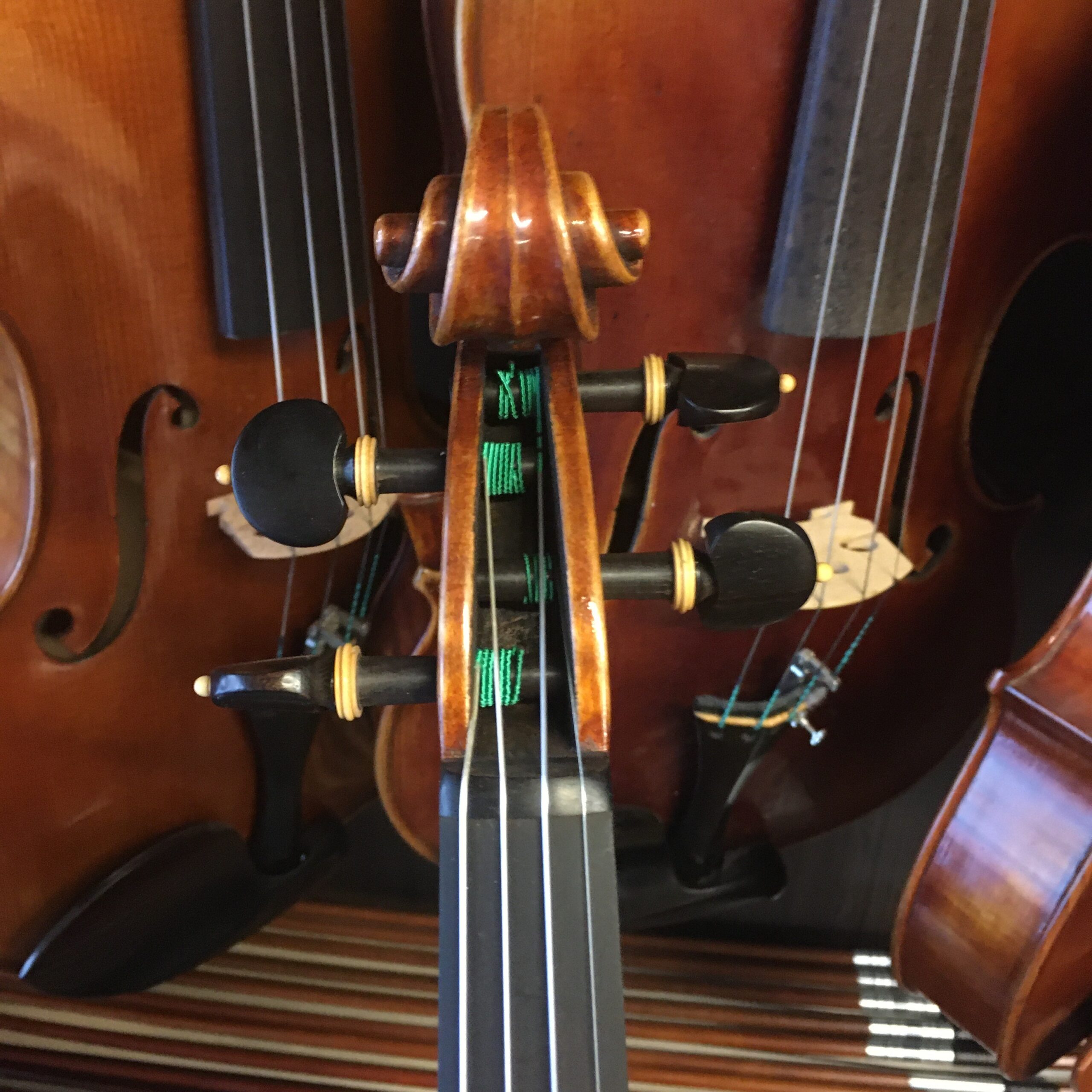 VIOLÍN MARIO GIO FLORENCIA 2022 (Cod.001)