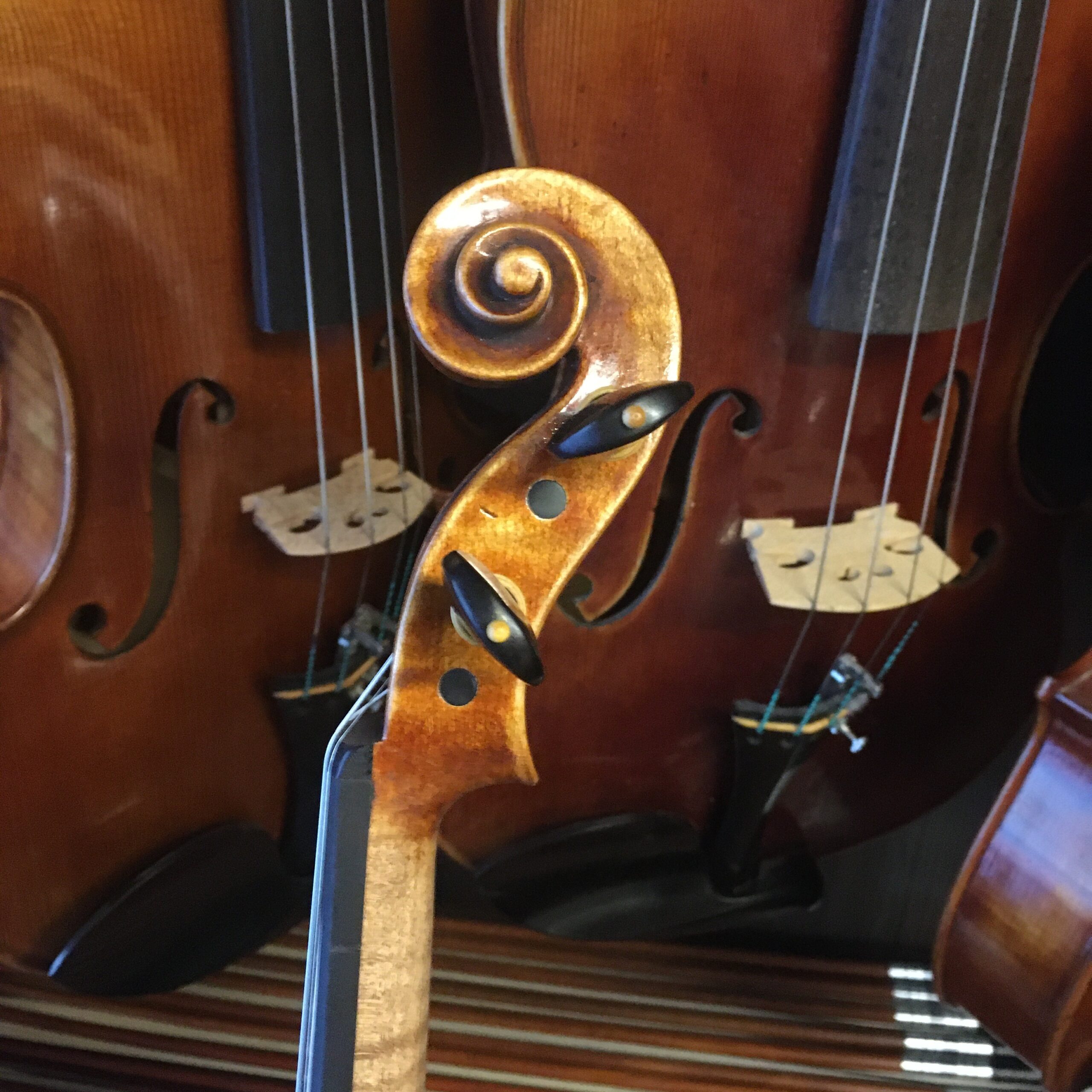 VIOLÍN MARIO GIO FLORENCIA 2022 (Cod.001)