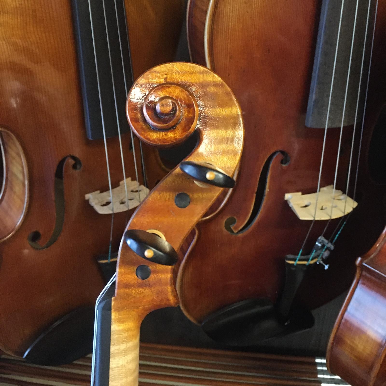 VIOLÍN MARIO GIO CREMONA 2022 (Cod.010)